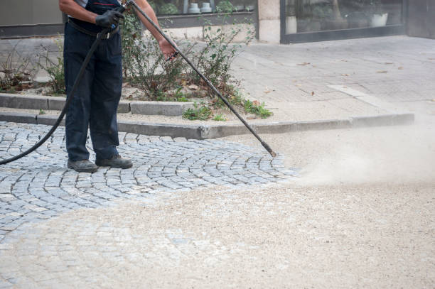 Best Animal Enclosure Cleaning  in Chino Valley, AZ